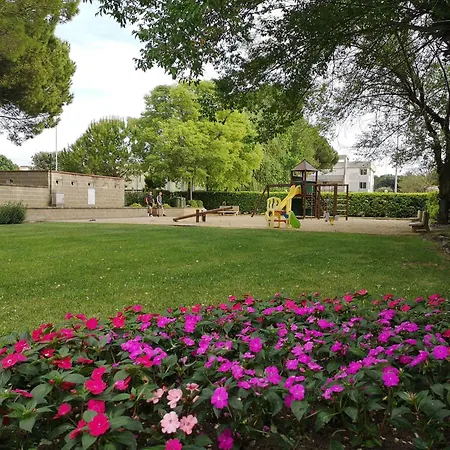 Summerjoy * ביביונה